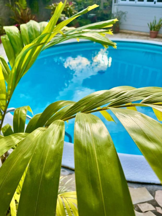 Tiaki Guesthouse - Cozy Modern Studio - 5Min Drive From The Beach And Punaauia Center ภายนอก รูปภาพ