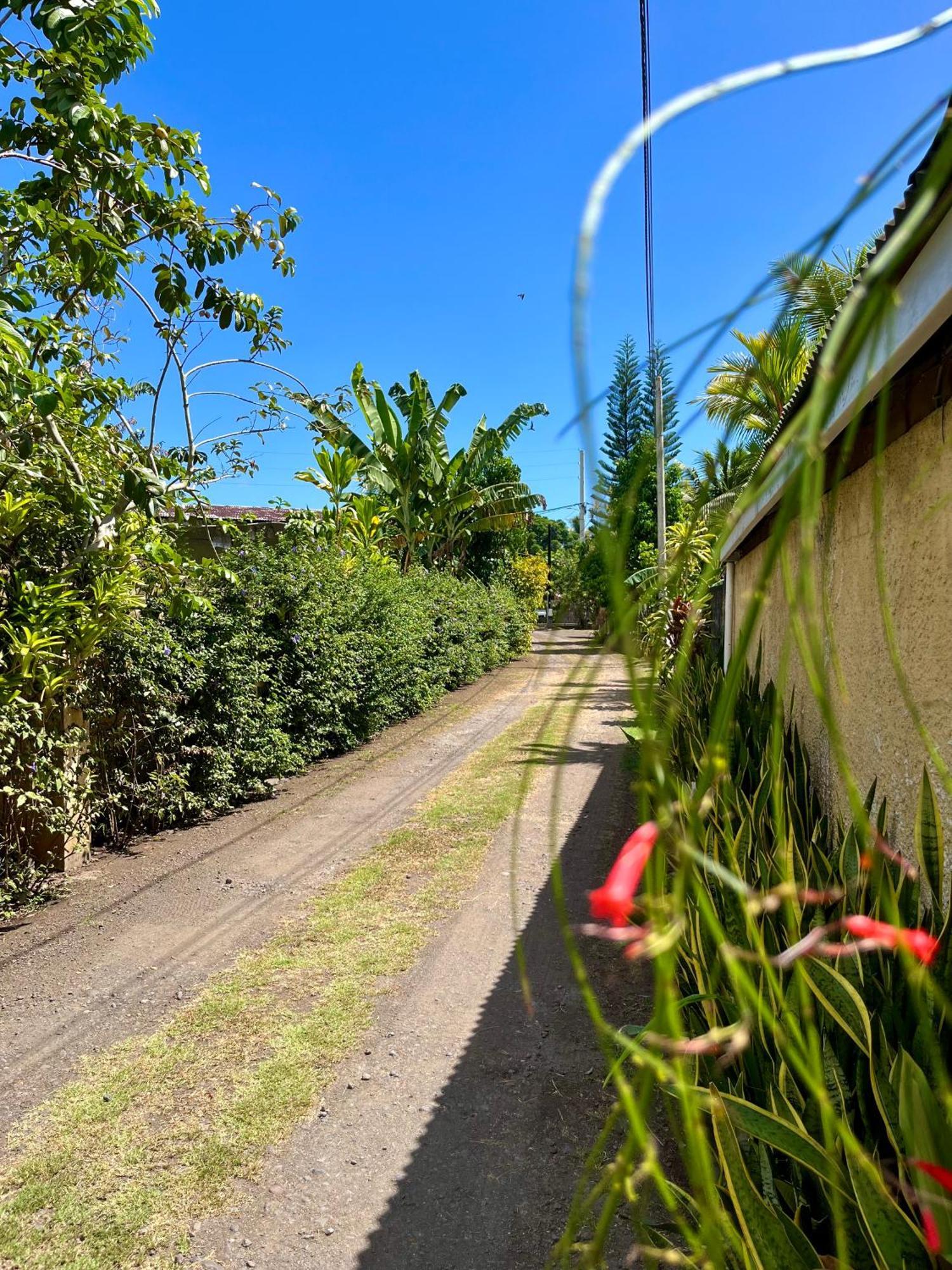 Tiaki Guesthouse - Cozy Modern Studio - 5Min Drive From The Beach And Punaauia Center ภายนอก รูปภาพ